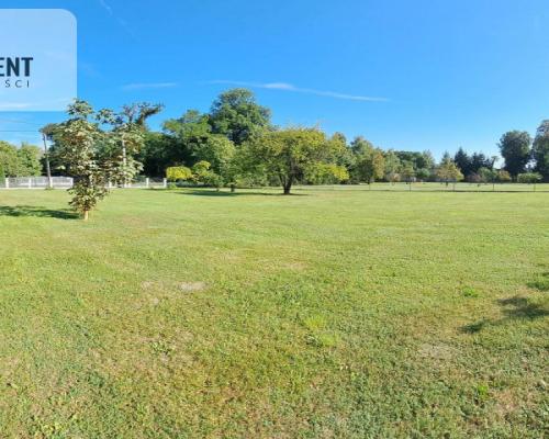 Przestronny dom wolnostojący na działce 4900 m2!