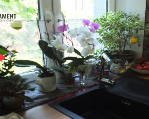 Przestronny dom wolnostojący na działce 4900 m2!