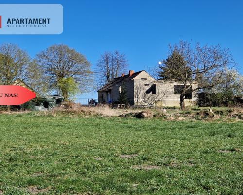 Dom z dużą działką blisko lasu