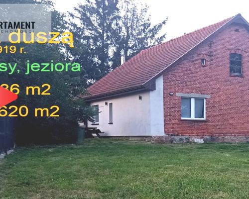 DOM 85 M2/620 M2 LASY,JEZIORA  WIĘCBORK-okolica!