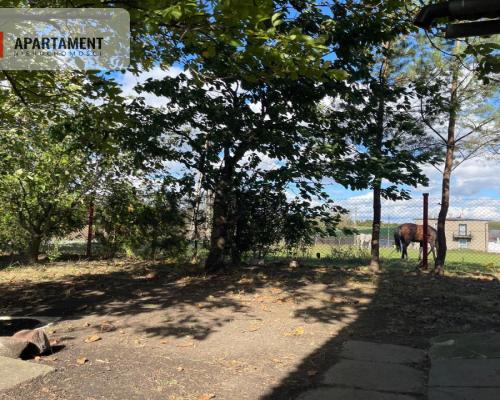 Dom do Remontu lub zamiana