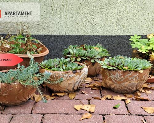 Piaski / dom z patio / 5 sypialni