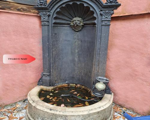 Piaski / dom z patio / 5 sypialni