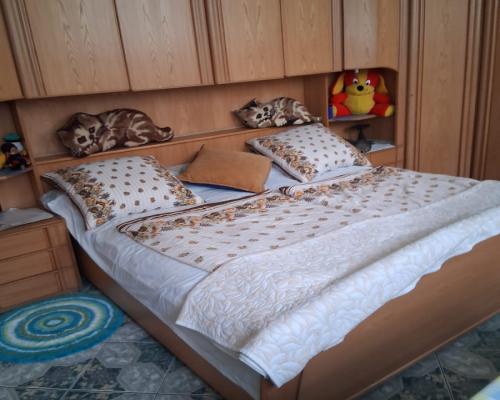 STEGNA: Obiekt Inwestycyjny 285m²