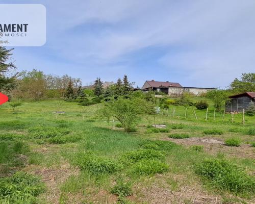 Dom z działką nad Notecią – dla miłośników natury