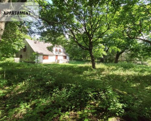 Dom z jeziorem w cichej i spokojnej okolicy!