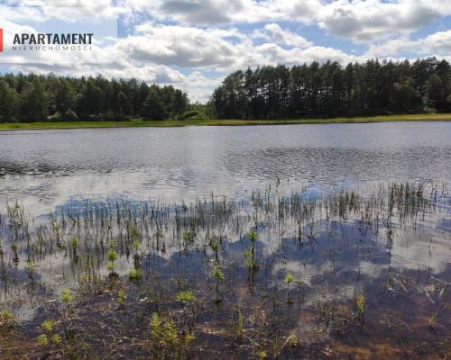 Dom z jeziorem w cichej i spokojnej okolicy!