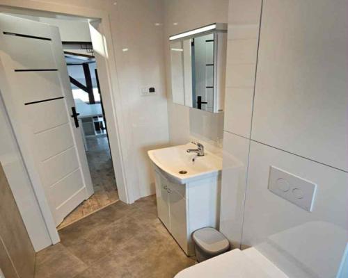 Dom z ogrodem i lokalem pod działalność