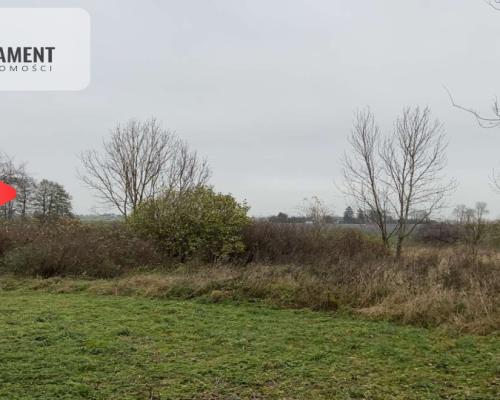 Duża działka z domem do odbudowy bądź rozbiórki