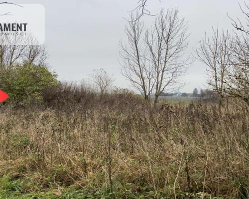 Duża działka z domem do odbudowy bądź rozbiórki