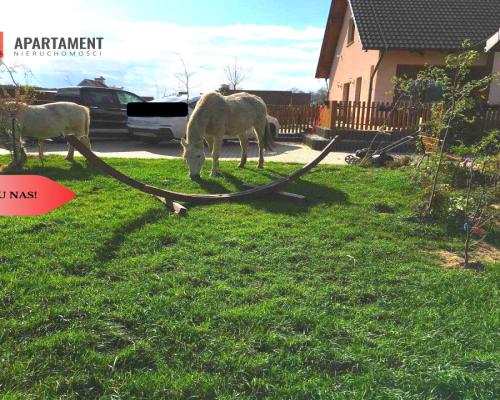 Przestronny dom na dużej działce z basenem...