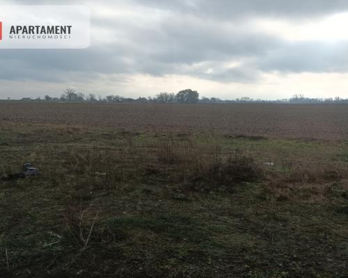 Nowy dom w Krążkowie