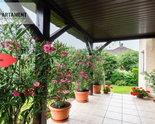 Duży dom wolnostojący!