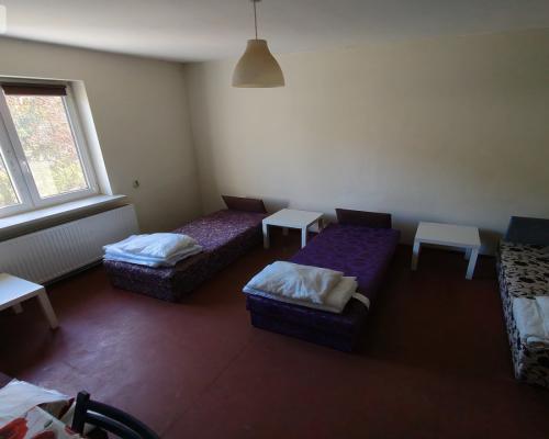 2 Domy i garaż na sprzedaż w Kurzętniku