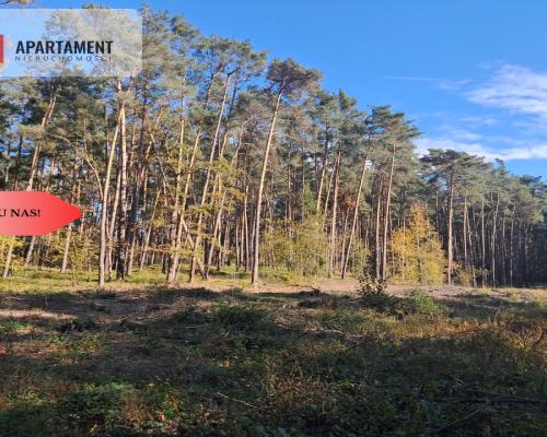 Dom na wsi do remontu z 5,5 ha ziemi.