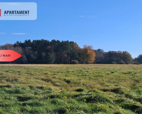 Dom na wsi do remontu z 5,5 ha ziemi.