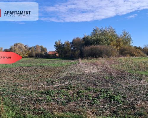 Dom na wsi do remontu z 5,5 ha ziemi.