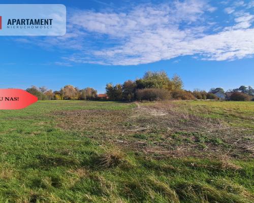 Dom na wsi do remontu z 5,5 ha ziemi.