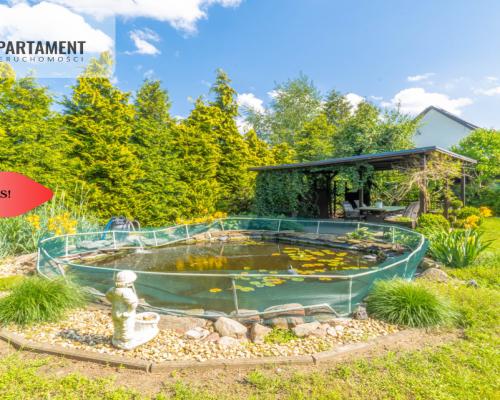 Можливість придбання іноземця