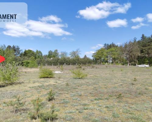 Dom z przepięknym widokiem na polanę w Lesie