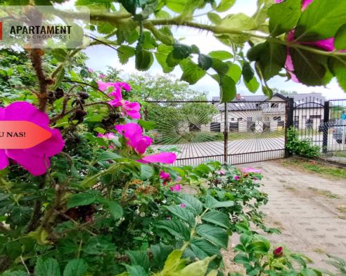 Tylko u nas! Gdańsk dom-dwa mieszkania