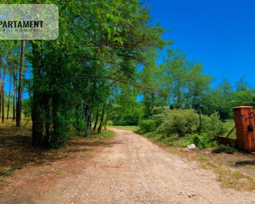 W otoczniu natury, z dala od zgiełku.