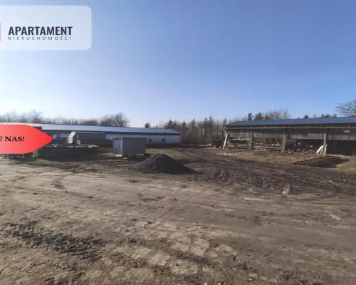 OKAZJA ! Hale produkcyjne z budynkiem mieszkalnym!