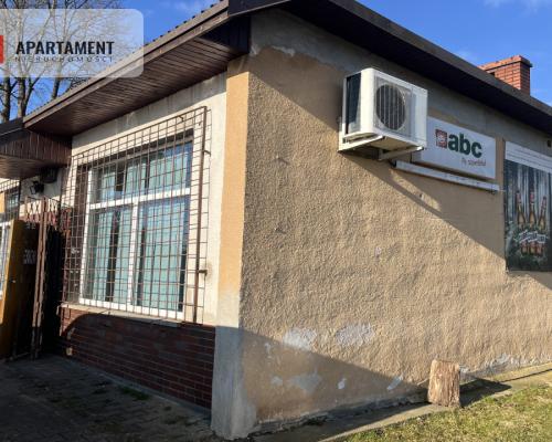 Dom wśród lasów+media+dobry stan 160 tys