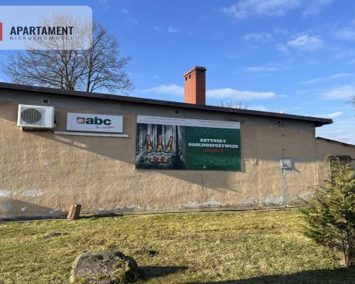 Dom wśród lasów+media+dobry stan 160 tys