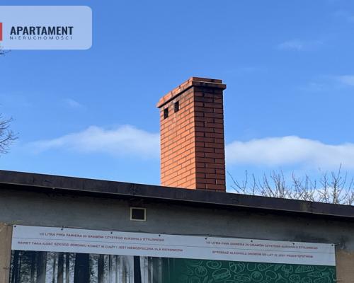 Dom wśród lasów+media+dobry stan 160 tys