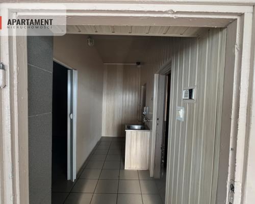 Dom wśród lasów+media+dobry stan 160 tys