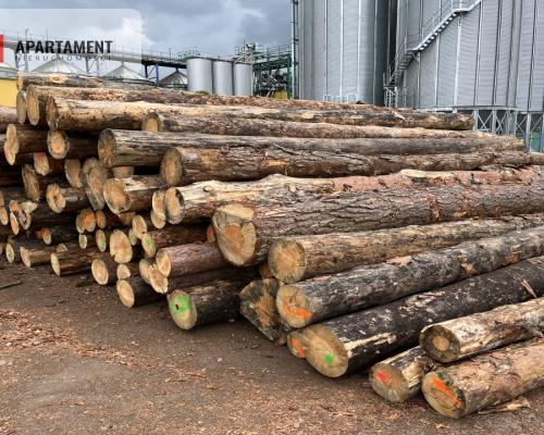 Super inwestycja - czynny Tartak z wyposażeniem !