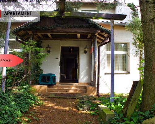 Obiekt magazynowo-biurowy z utwardzonym placem.