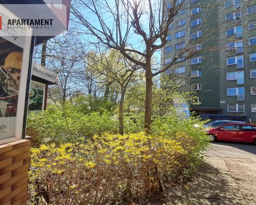 Lokal komercyjny na dużym osiedlu