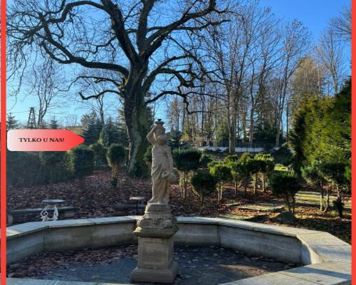 Pensjonat - Hotel, 23 pokoje. Kudowa Zdrój.