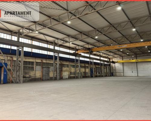 Przestrzeń dla biznesu – Hala  z dwiema suwnicami!
