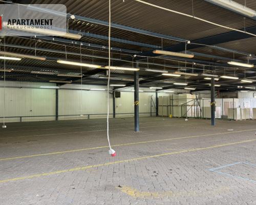 Hala 1000 m² – Okole – Blisko S5 i Centrum!