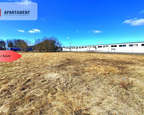 Działka inwestycyjna 2255m2 Potulice