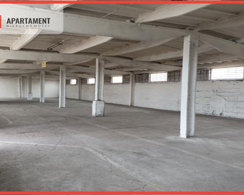 Hala na wynajem w Żninie