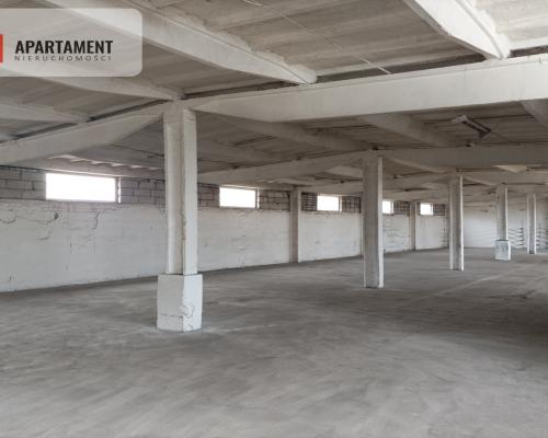 Hala na wynajem w Żninie