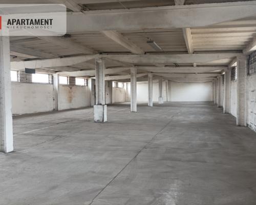 Hala na wynajem w Żninie