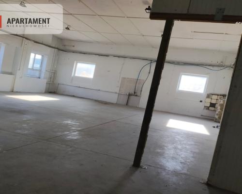 Hale do wynajęcia w super lokalizacji!