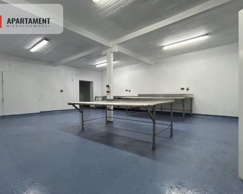 Hala pod produkcje/ Wynajem/ BRZOZA