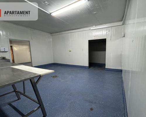 Hala pod produkcje/ Wynajem/ BRZOZA