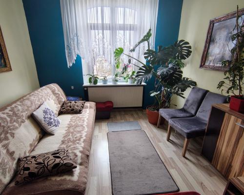 Idealna inwestycja, dwa mieszkania w centrum!