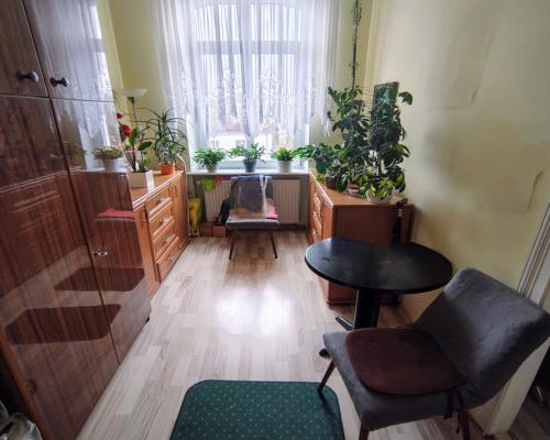 Idealna inwestycja, dwa mieszkania w centrum!