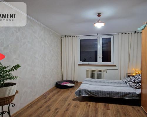 Ładne mieszkanie z widokiem na jezioro!