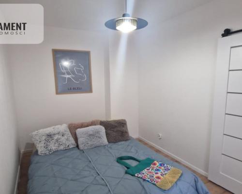 Mieszkanie z ogródkiem w sercu miasta