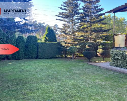 Ładna działka rekreacyjna w Drzewcach