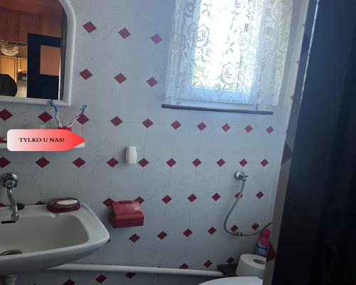 Ładna działka rekreacyjna w Drzewcach